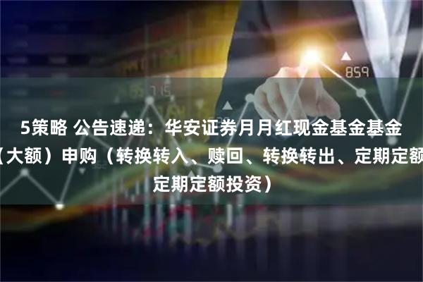 5策略 公告速递：华安证券月月红现金基金基金暂停（大额）申购（转换转入、赎回、转换转出、定期定额投资）