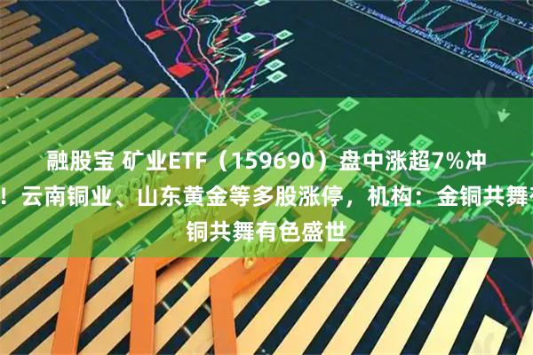 融股宝 矿业ETF（159690）盘中涨超7%冲击6连阳！云南铜业、山东黄金等多股涨停，机构：金铜共舞有色盛世